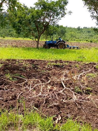 Préparation du sol pour la culture du soja bio