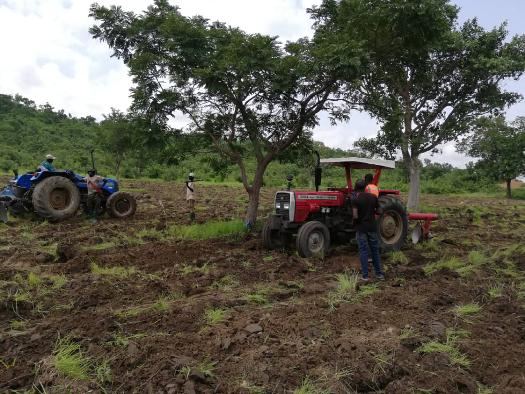 Préparation du sol pour la culture du soja bio