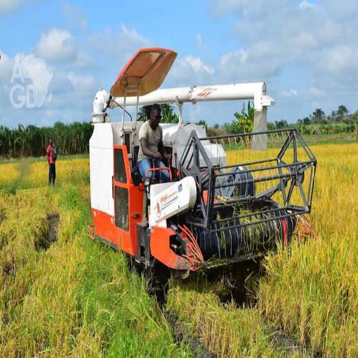 
          Un Togolais mécanise la culture du riz en Côte d'Ivoire