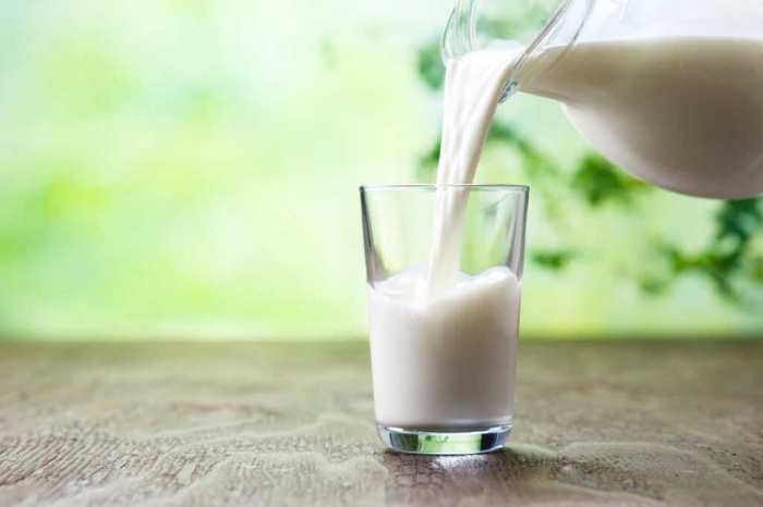 Pomme de cajou+lait = Substance mortelle,mythe ou réalité
