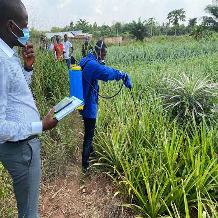 SOYCAIN TOGO /Région SAVANES