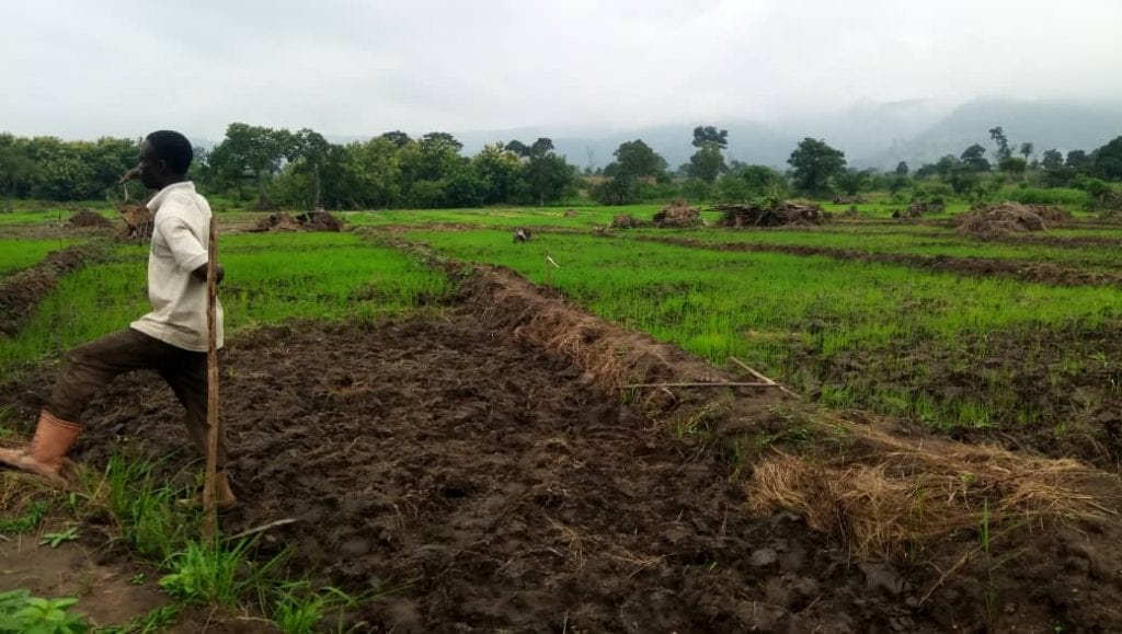 
           LES BONNES PRATIQUES AGRICOLES/ AMENAGEMENT SOMMAIRE DU BAS-FOND - Ministère de l’Agriculture, de l’Elevage et du Développement Rural 