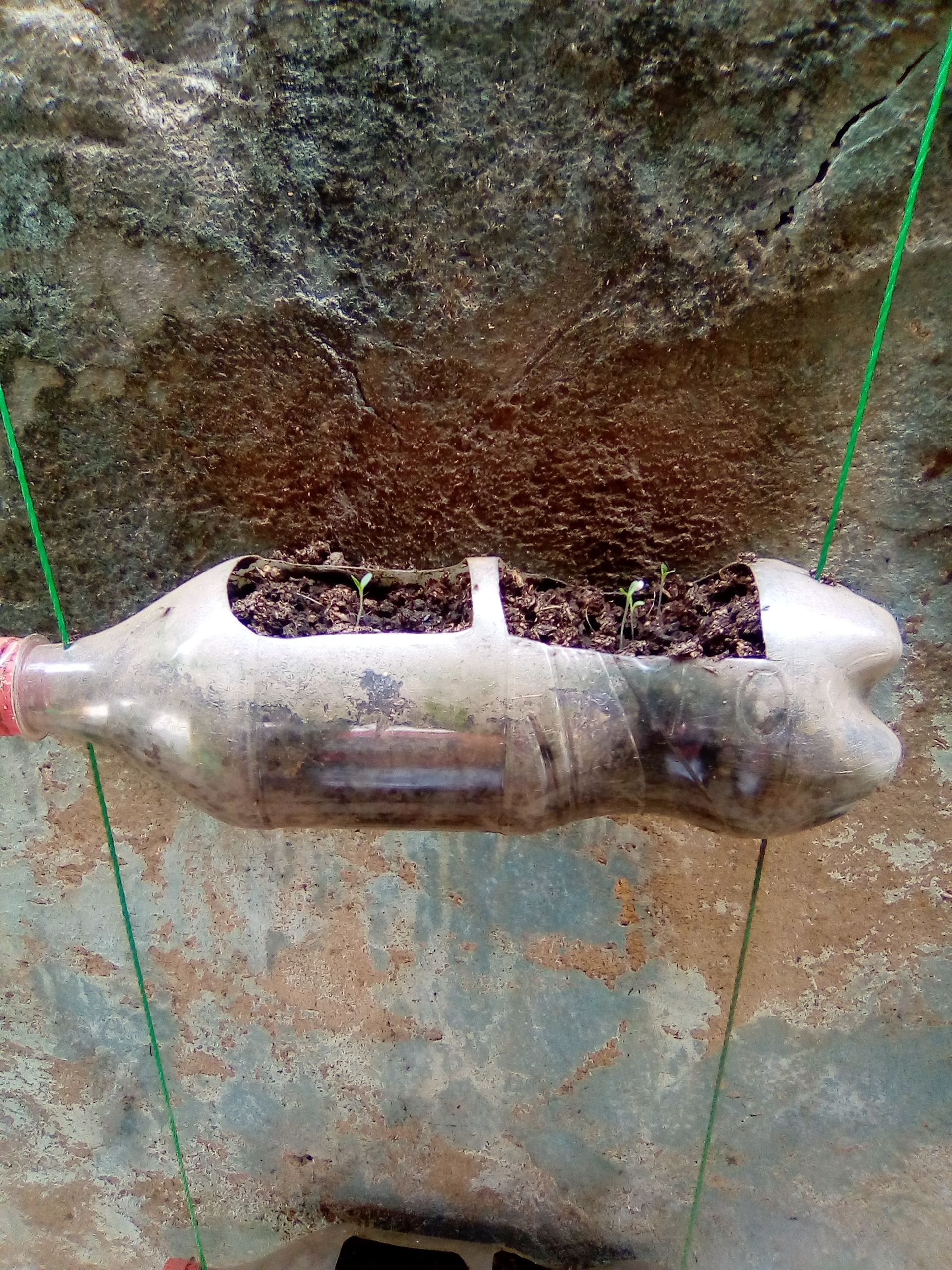 Agriculture moderne et écologique