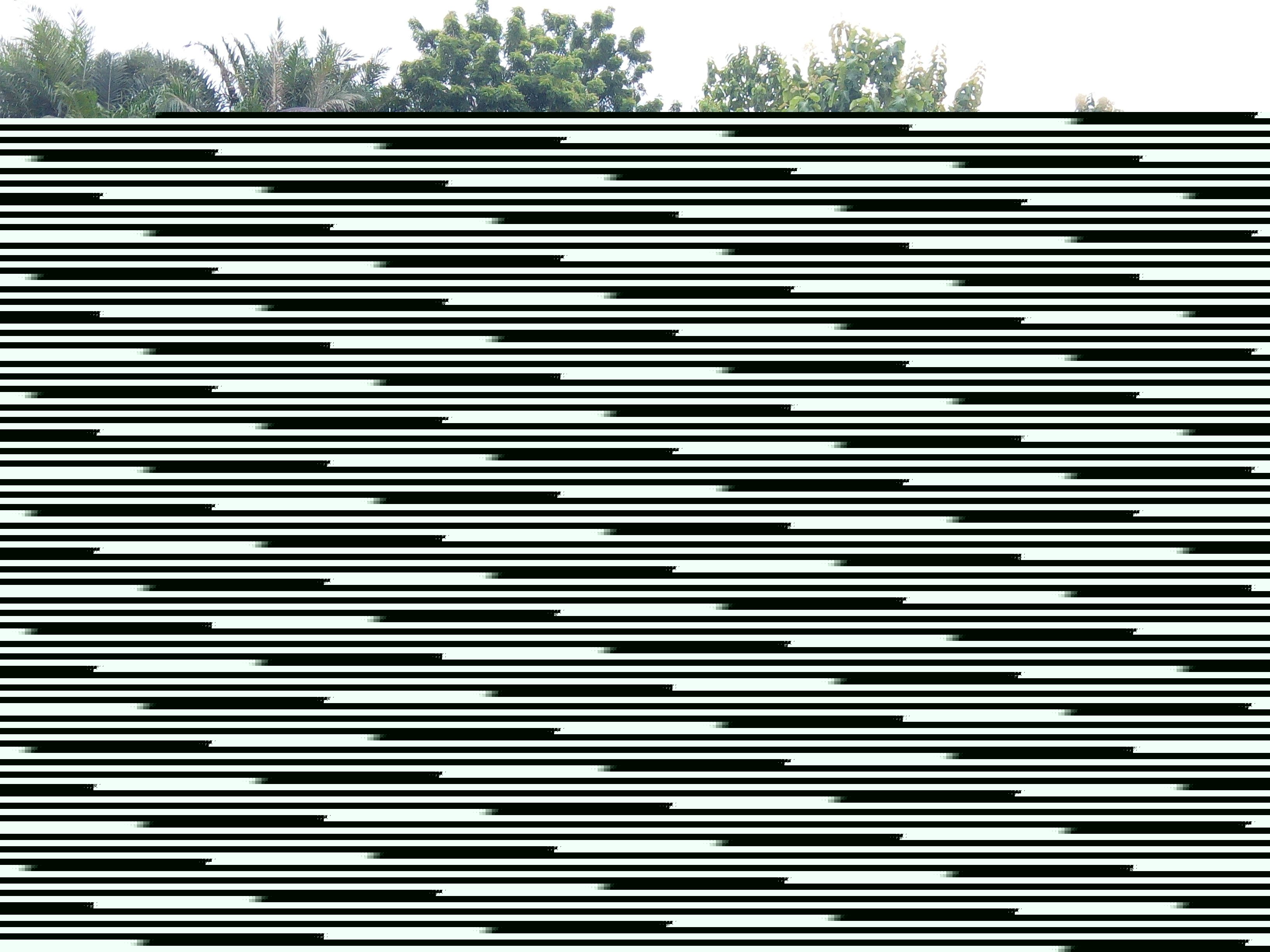
          Koulinga 