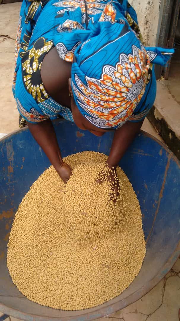
          Koulinga 