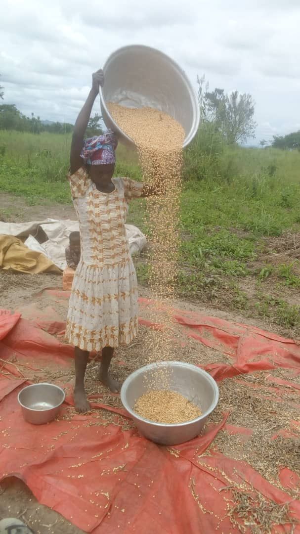 Koulinga 