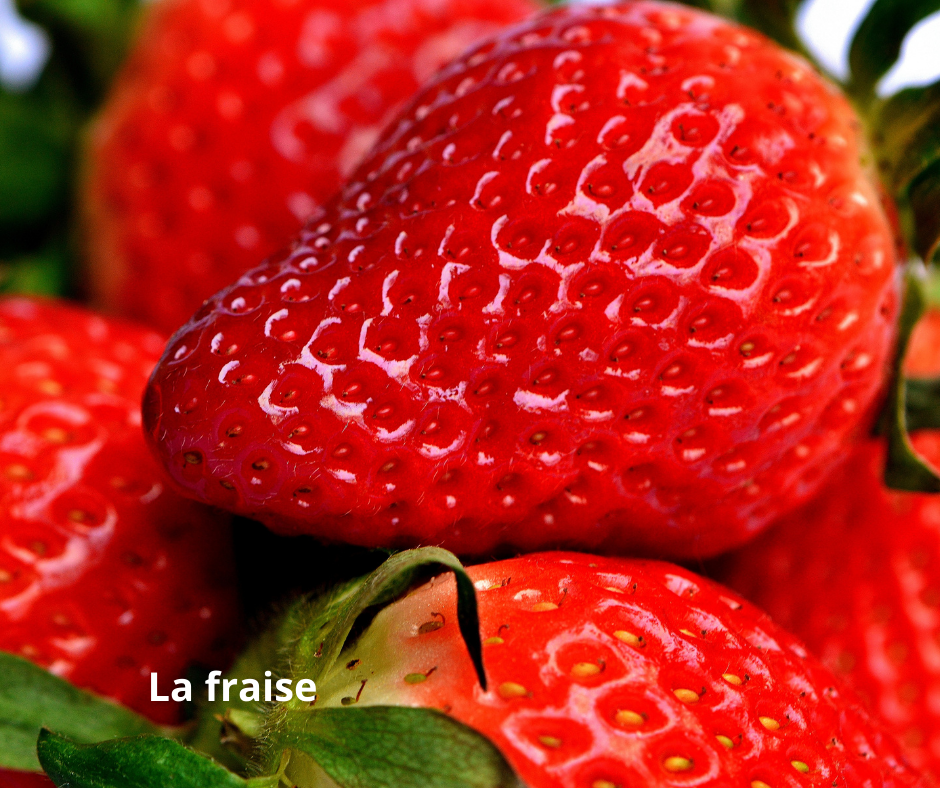 
          La fraise