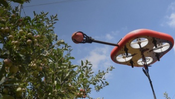 
          Des robots pour récolter seulement les fruits à point