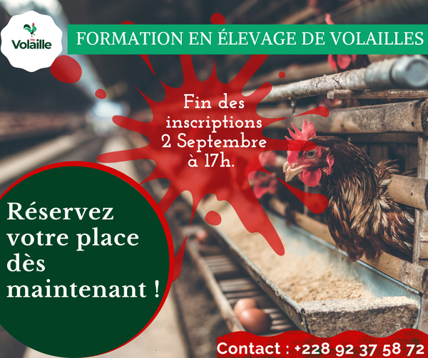 
          Bientôt la fin des inscriptions