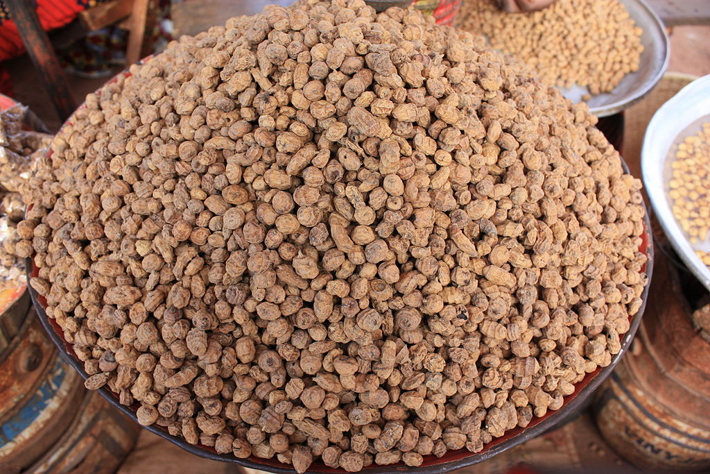 
          Souchet comestible — Wikipédia 