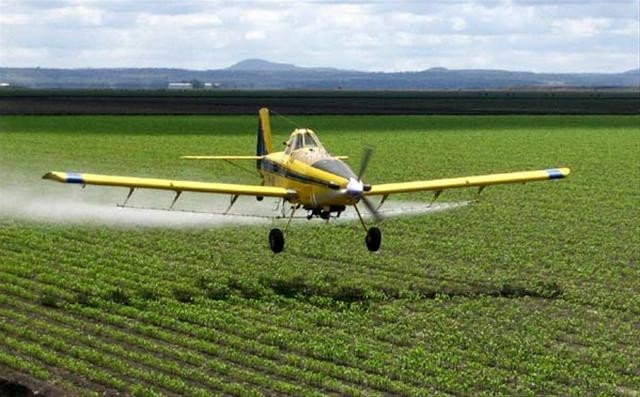
           2,4 DB ester et sel - Un herbicide contre les adventices