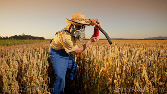 
           Abamectine (insecticide - acaricide)