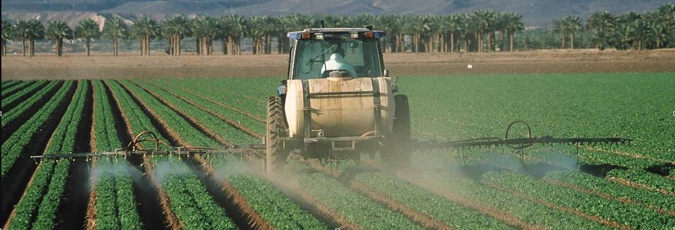
          Acéphate - Impact sur l’environnement