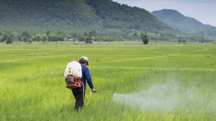
          Amétryne - Mesures de précautions environnementales