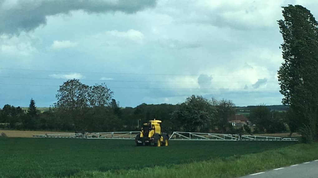 
           Atrazine
