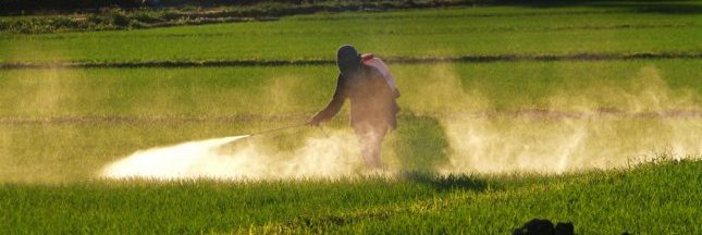 
           Atrazine