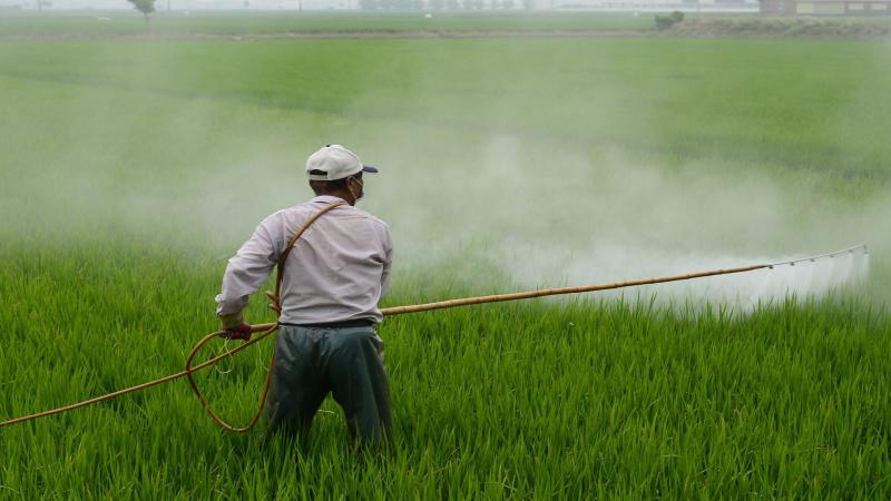 
          Carbaryl - Produit phytosanitaire 