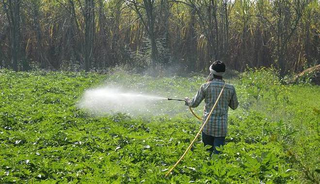 
          Carbaryl - Produit phytosanitaire