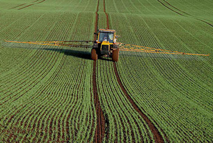 
          Carbofuran - Pesticides à base de carbamate