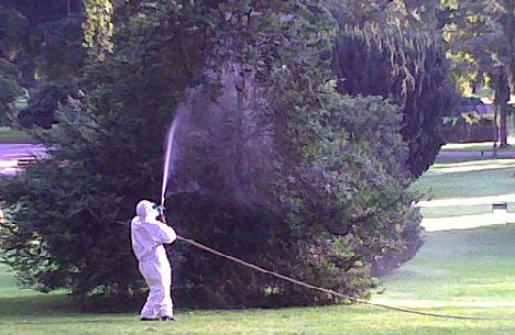 
          Carbofuran - Pesticides à base de carbamate