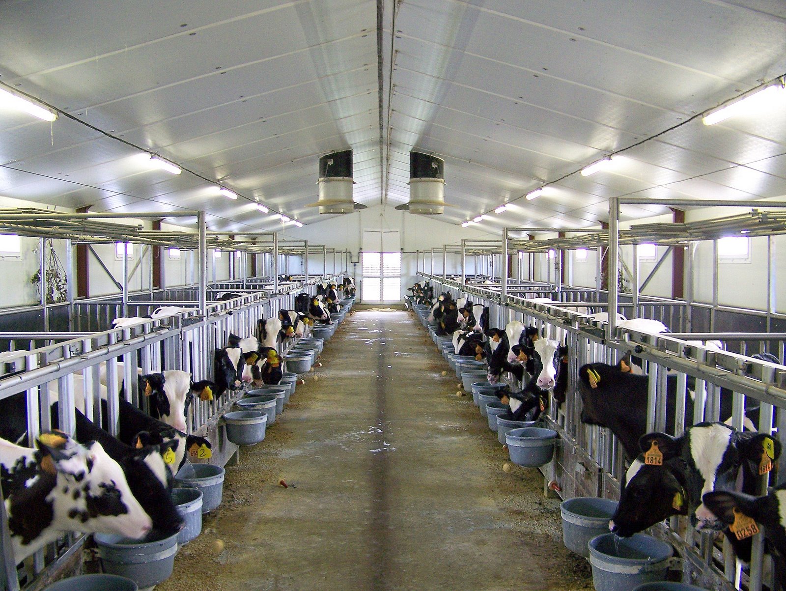 
          La ventilation mécanique des bergeries