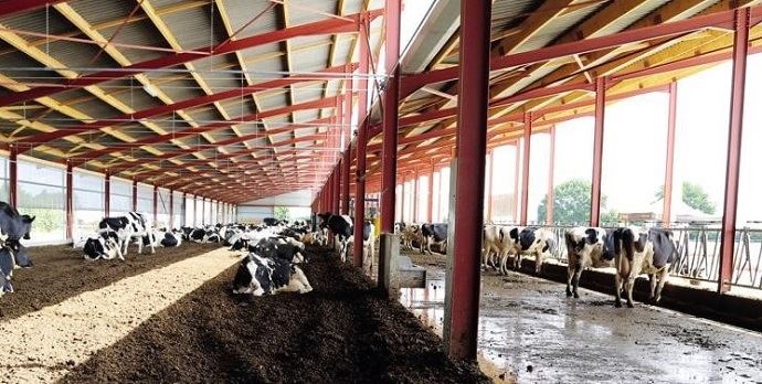 
            Un bon bâtiment, est favorable à l’animal, à l’éleveur et à la productivité