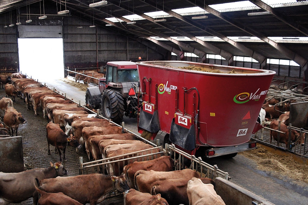 
            Alimentation animale: Les aliments industriels complets ou semis-complets