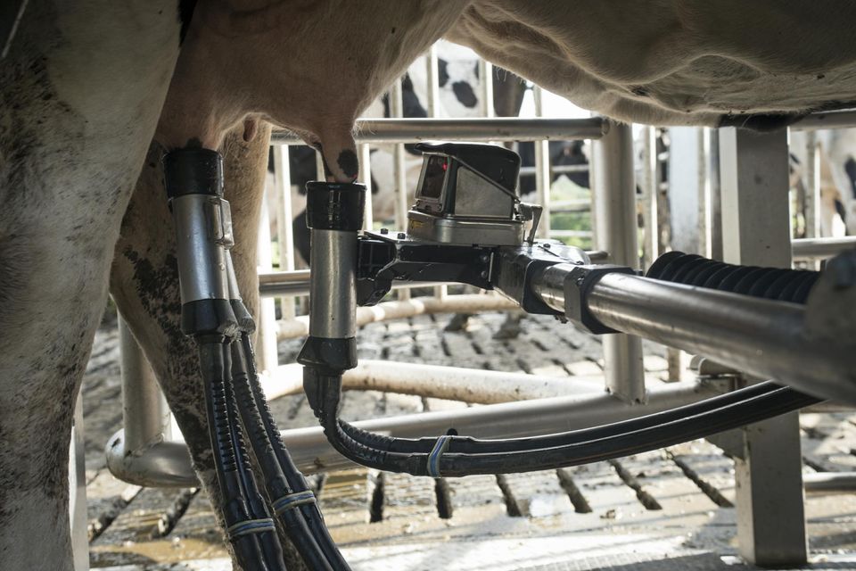 
            L’élevage de précision et le gain de temps