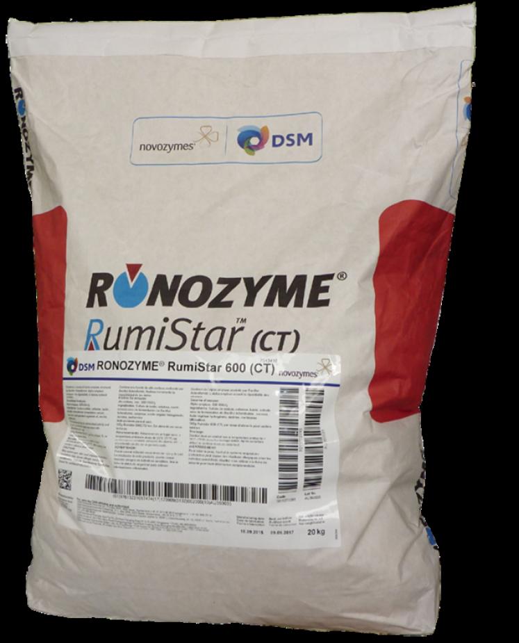 
            Des enzymes pour valoriser l’amidon du maïs grâce à RONOZYME RumiStar