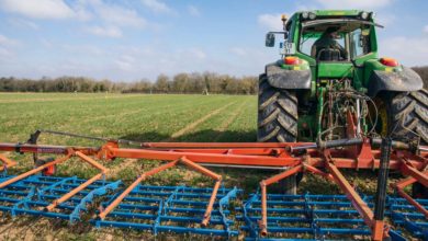 
            Désherbage des céréales: tenir compte de la teneur en eau et en argile avant application des herbicides
