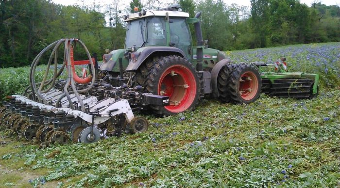 
           Technique de destruction des couverts: Laisser le gel opérer