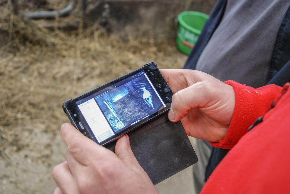 
          Une caméra pour surveiller ses animaux sans se  déplacer: Pourquoi choisir cette solution ?