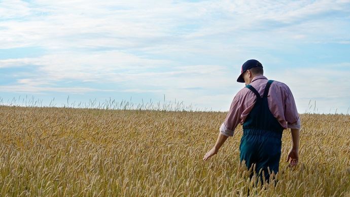 
            Sorgholéone : un potentiel herbicide