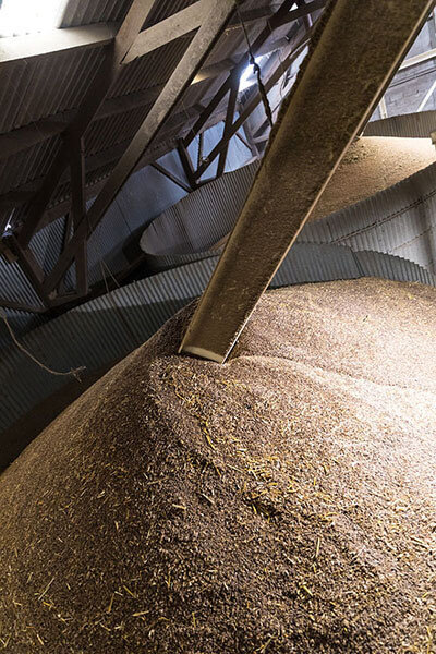 
            Des conseils pour assurer une bonne conservation des grains: L’humidité du grain, la température et la ventilation