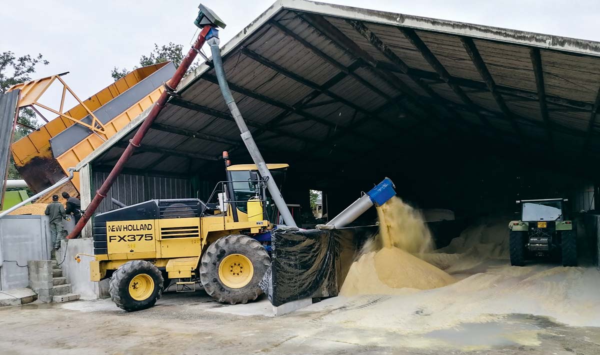 
            La surveillance de la température  de l'air et du grain