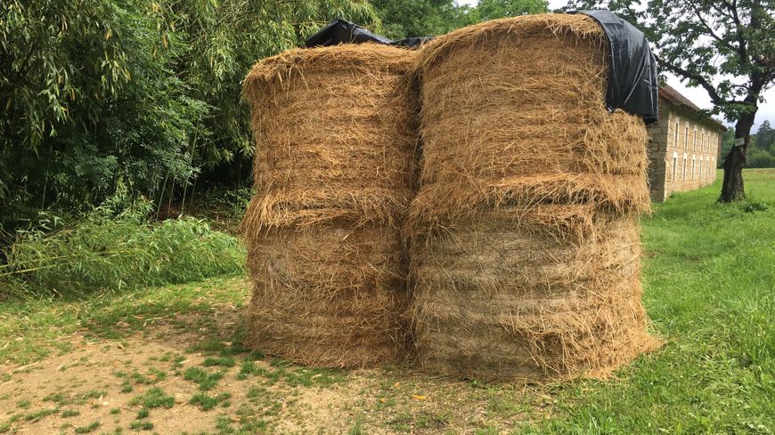 
            Comment conserver le foin?