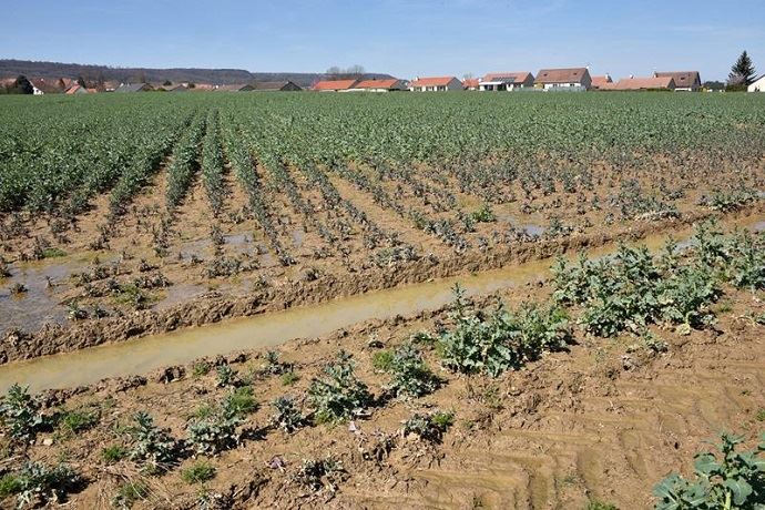 
            Parcelles non fertilisées à ce jour : que faire ?