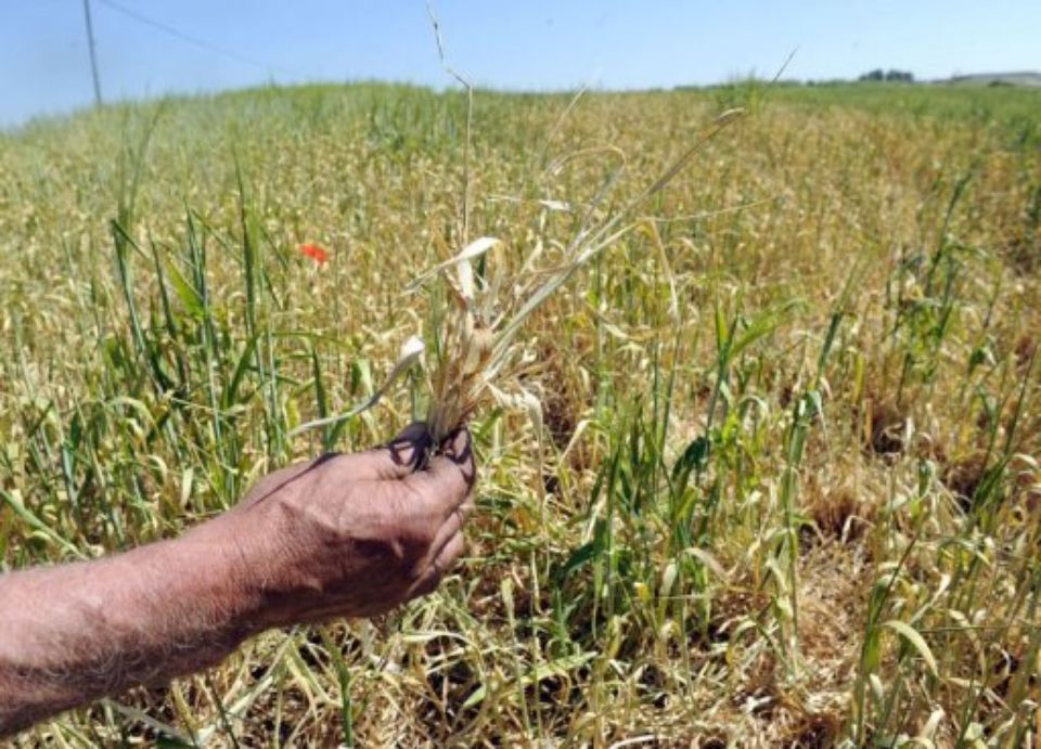 
          Agriculture européenne de demain: Les exemples d’adaptation à partir des données climatiques