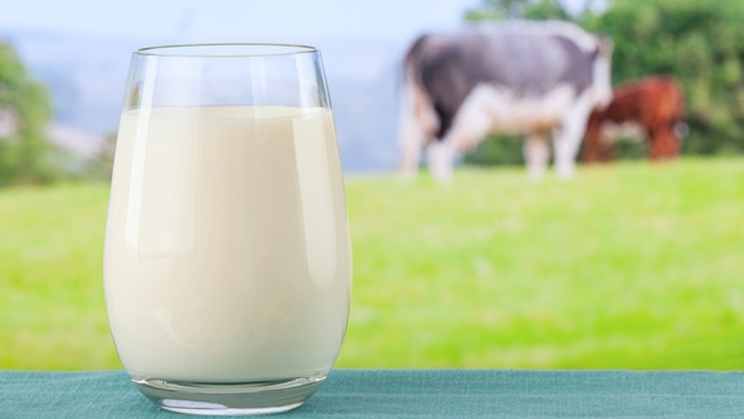 
          Coronavirus: La crise du covid-19 ébranle le marché du lait
