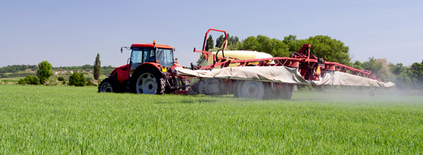 
          Les soufres et leur protection phytosanitaire sur les plantes