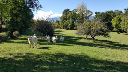 
          Comment accroître le carbone stocké dans vos sols ?