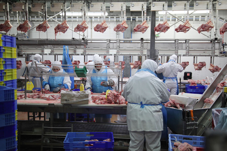 
          Covid 19 dans les abattoirs: La contamination peut-elle provenir de la viande ?