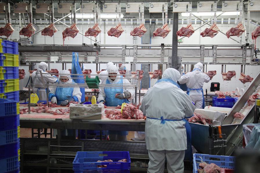 
          Covid 19 dans les abattoirs: La contamination peut-elle provenir de la viande ?