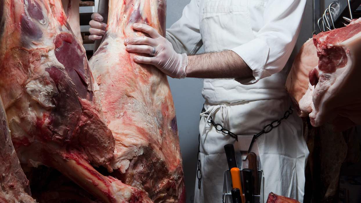 
          Contamination des abattoirs: L’hypothèse de la circulation de l’air