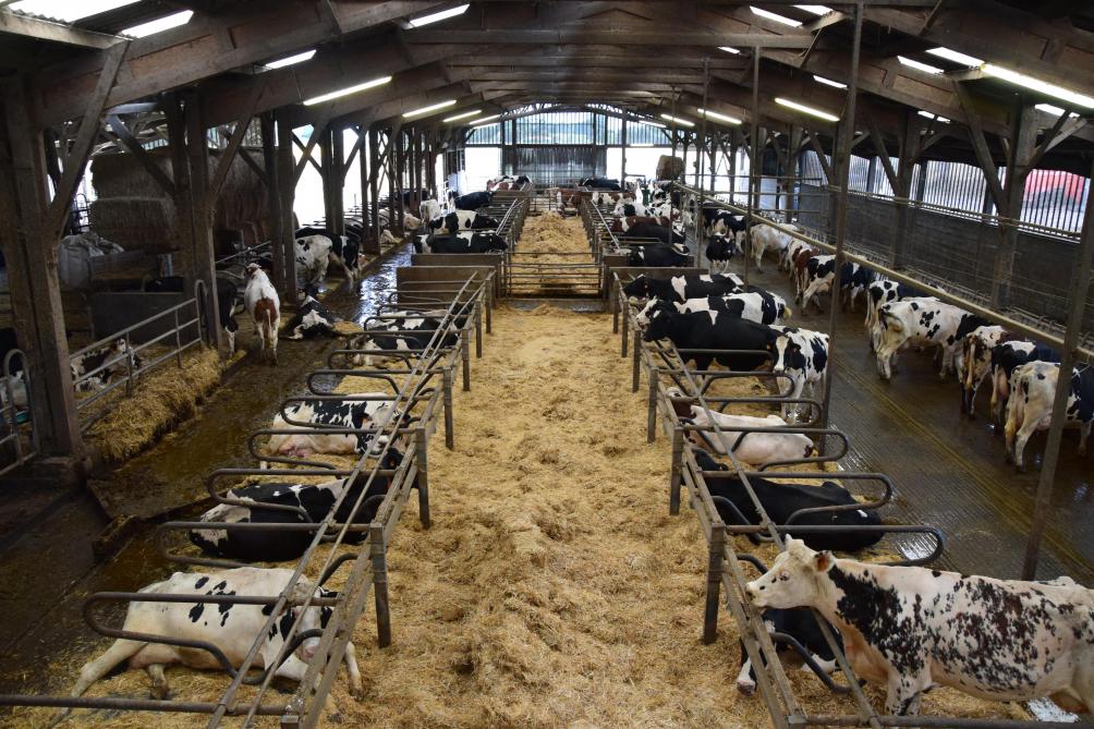 
          Ventilation, isolation et luminosité : les indispensables du bien-être animal