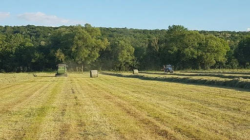 
          La saison des foins bat déjà son plein !