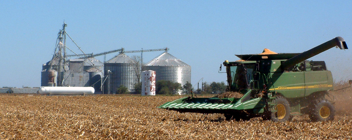 
          Les règles de base du stockage à la ferme