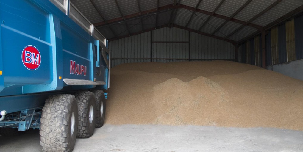 
          Comment doit se préparer la réception des grains pour un stockage à la ferme?