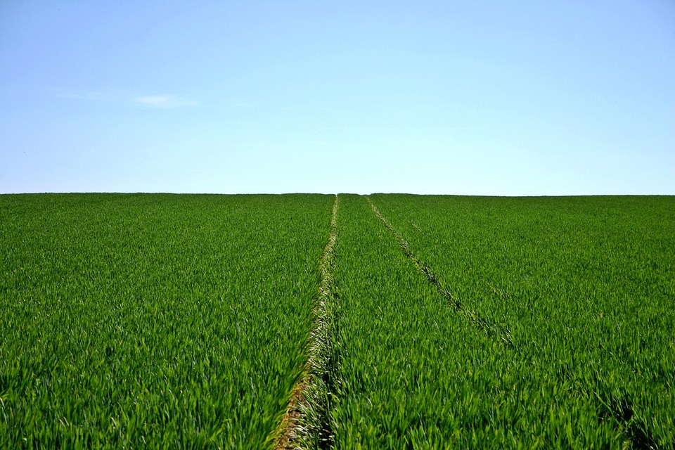 
           L’après-Covid-19 agricole sera-t-il si différent du monde d’avant ?