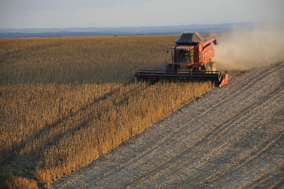 
          Comment bien préparer pour une moisson?